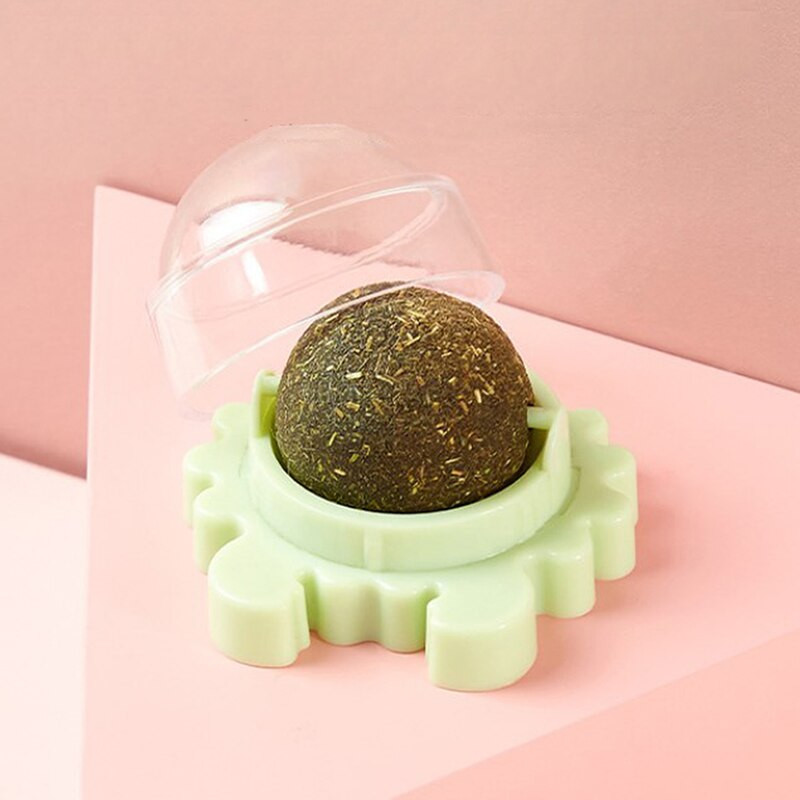 Miniatura 2 de MENTA PARA GATO